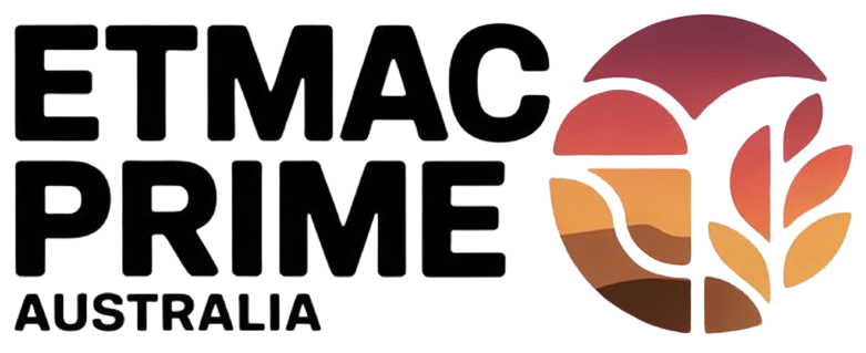 image-removebg-preview (1)